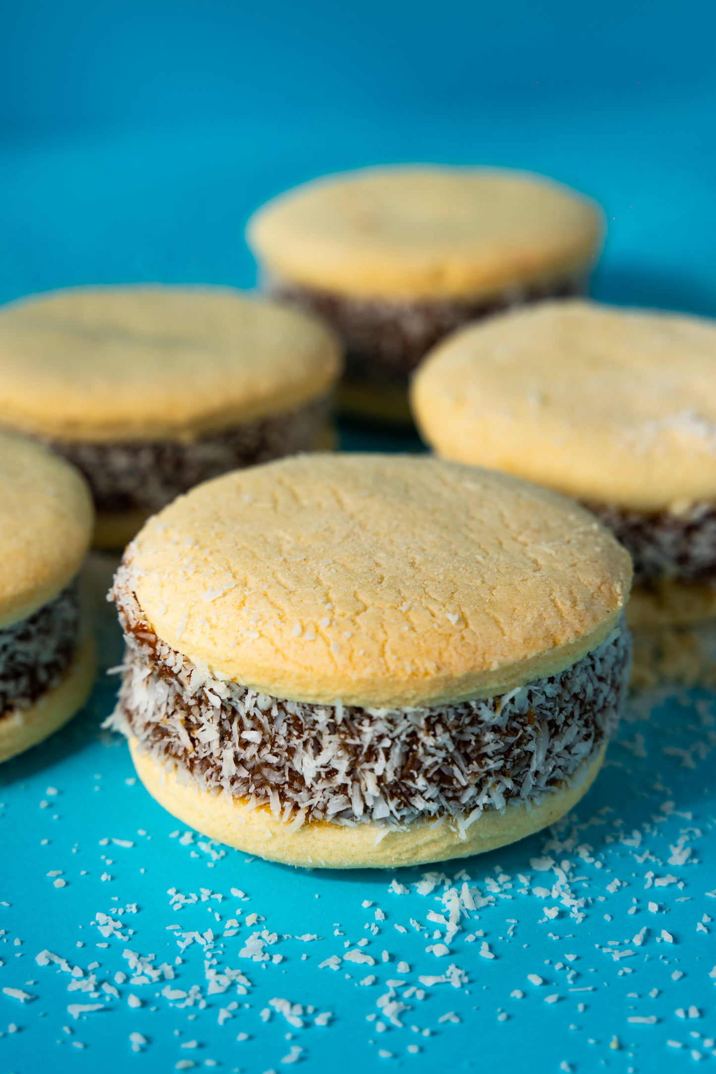 Caja de 6 alfajores - VARIEDAD